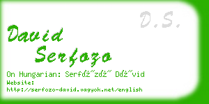 david serfozo business card